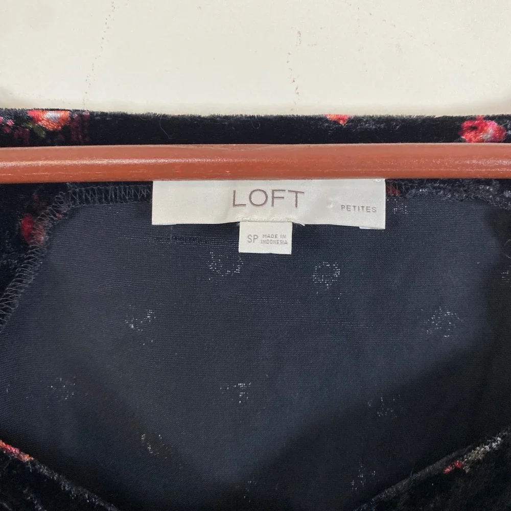 LOFT sophisticated short